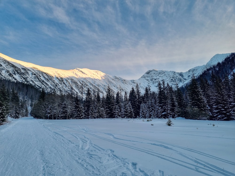 a snow covered field with trees and mountains in the background