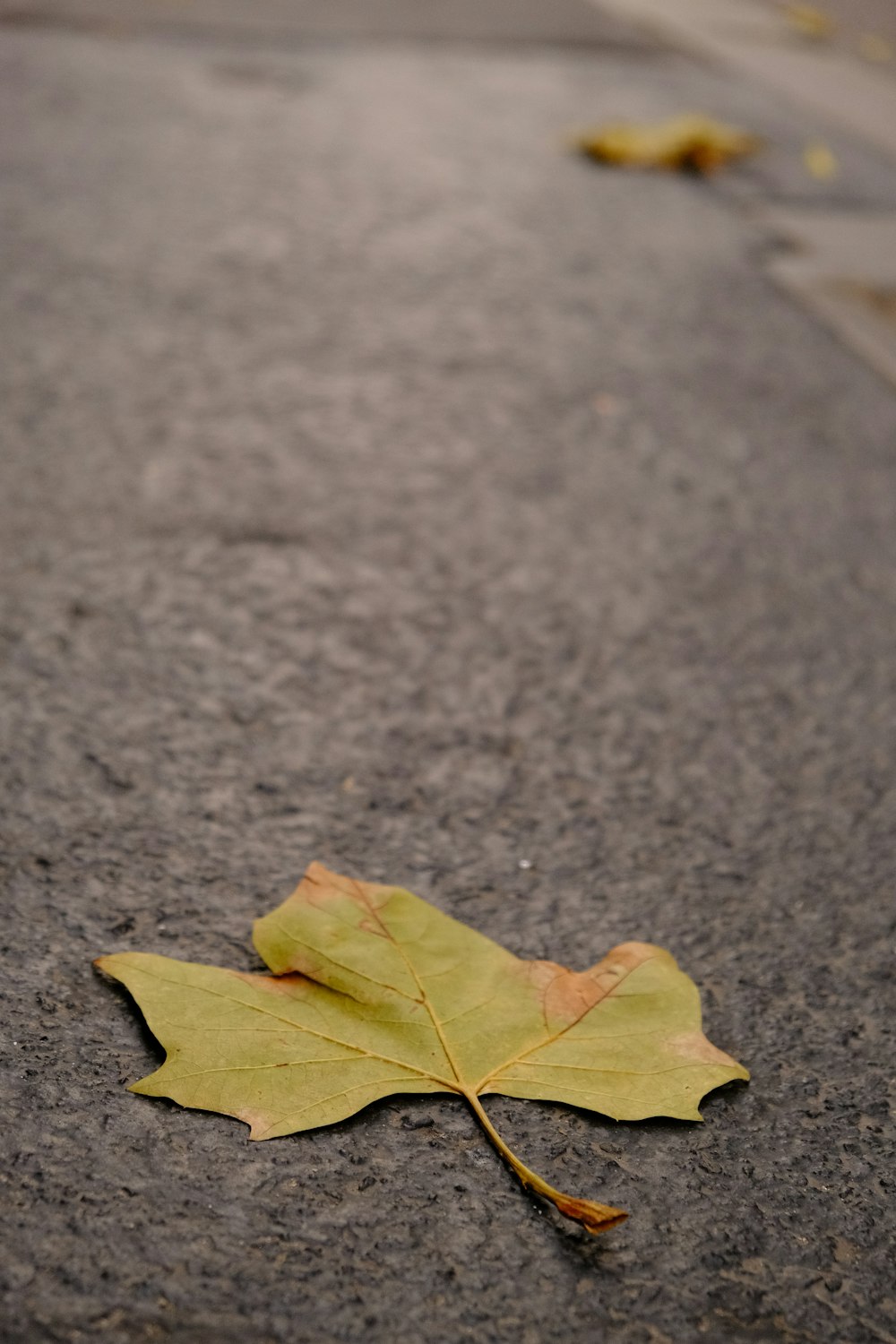 a yellow leaf laying on the ground next to a sidewalk