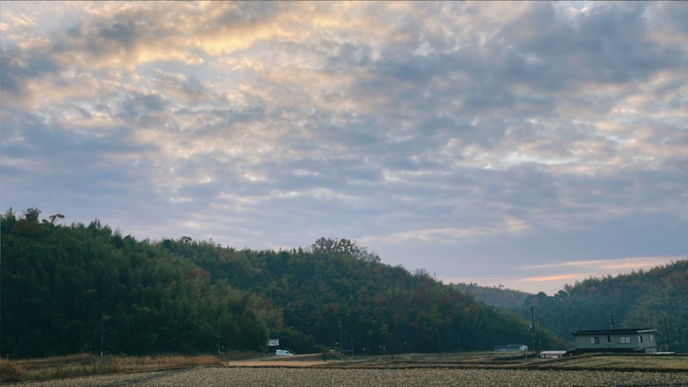 a large body of water surrounded by a forest