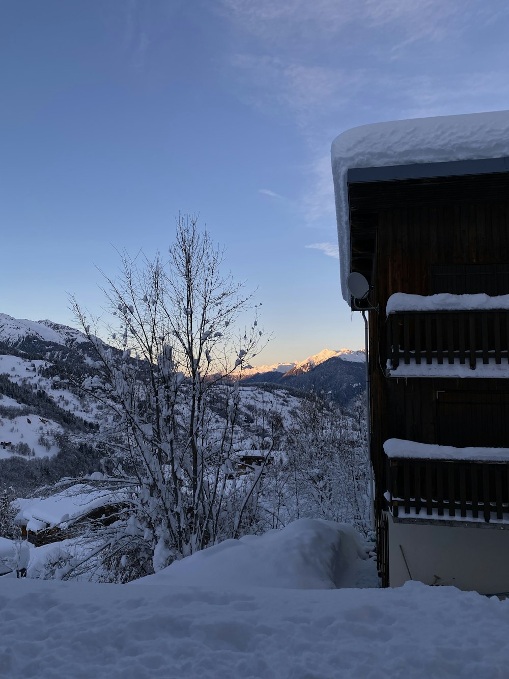 a view of a snowy mountain with a tree in the foreground