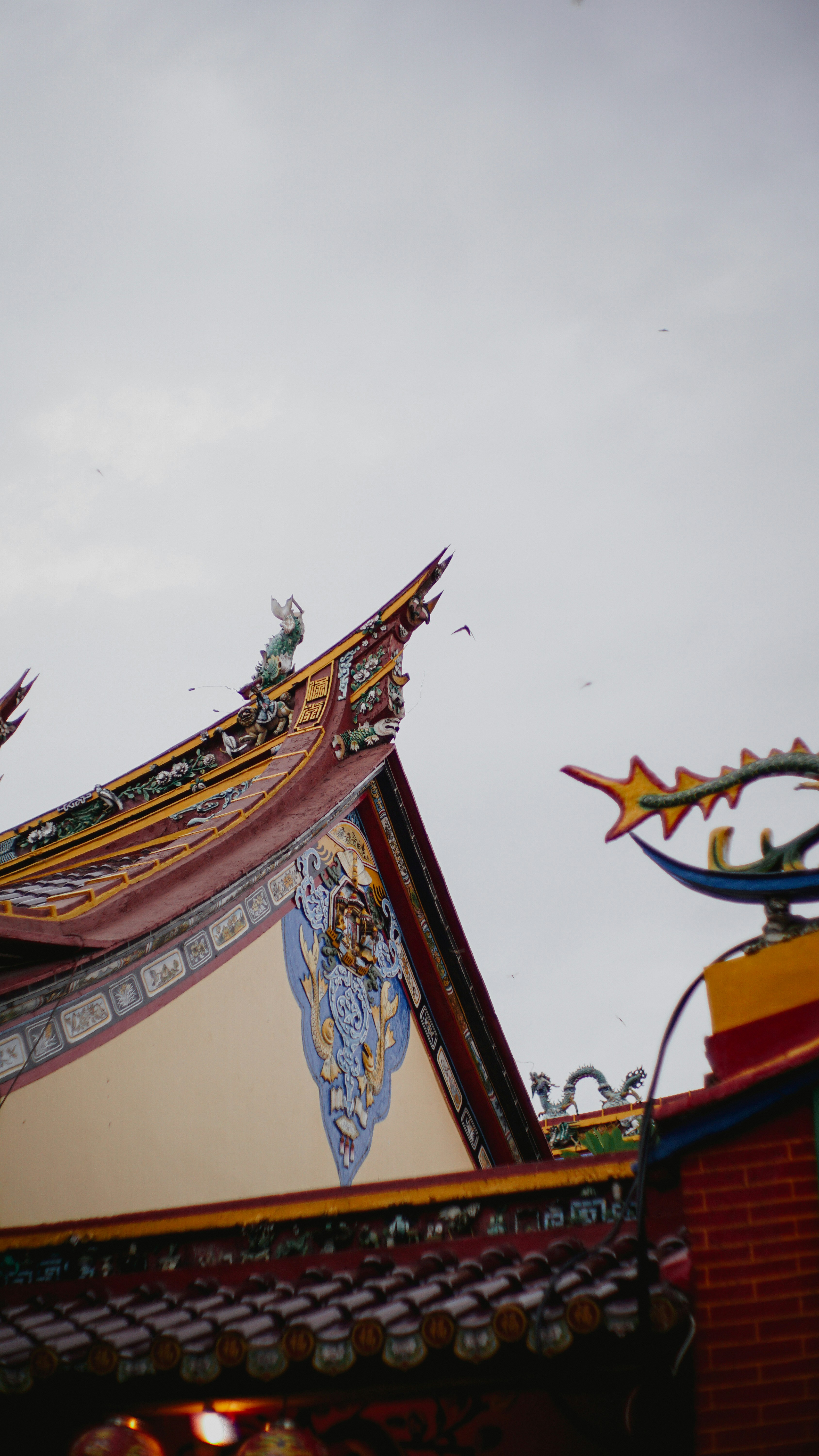 Photo by chinesesadboi