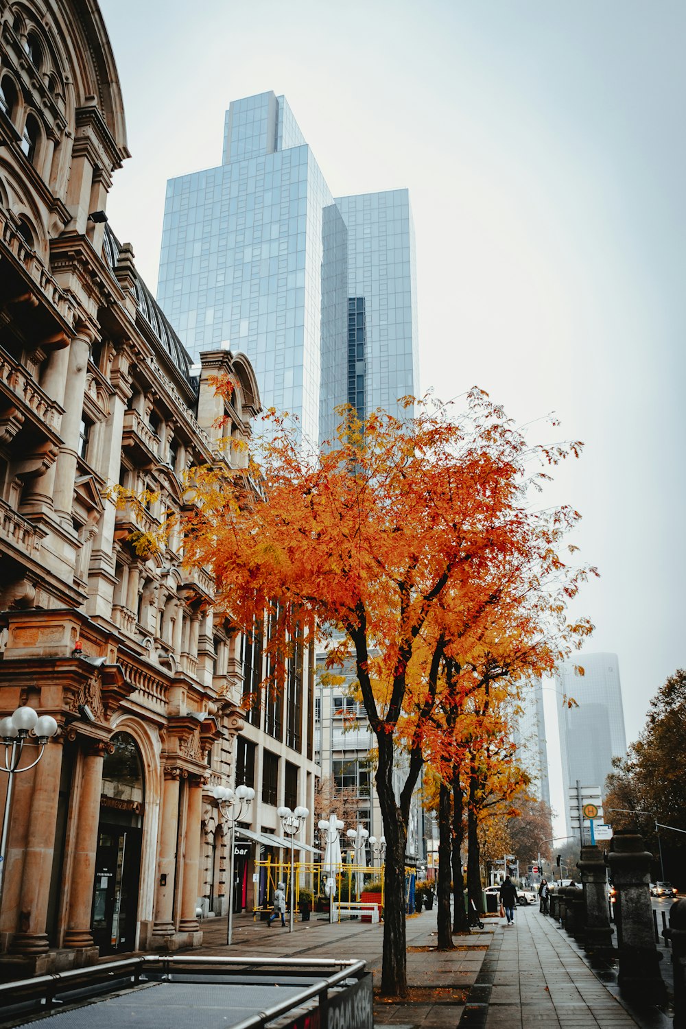 a tree with orange leaves in front of a tall building