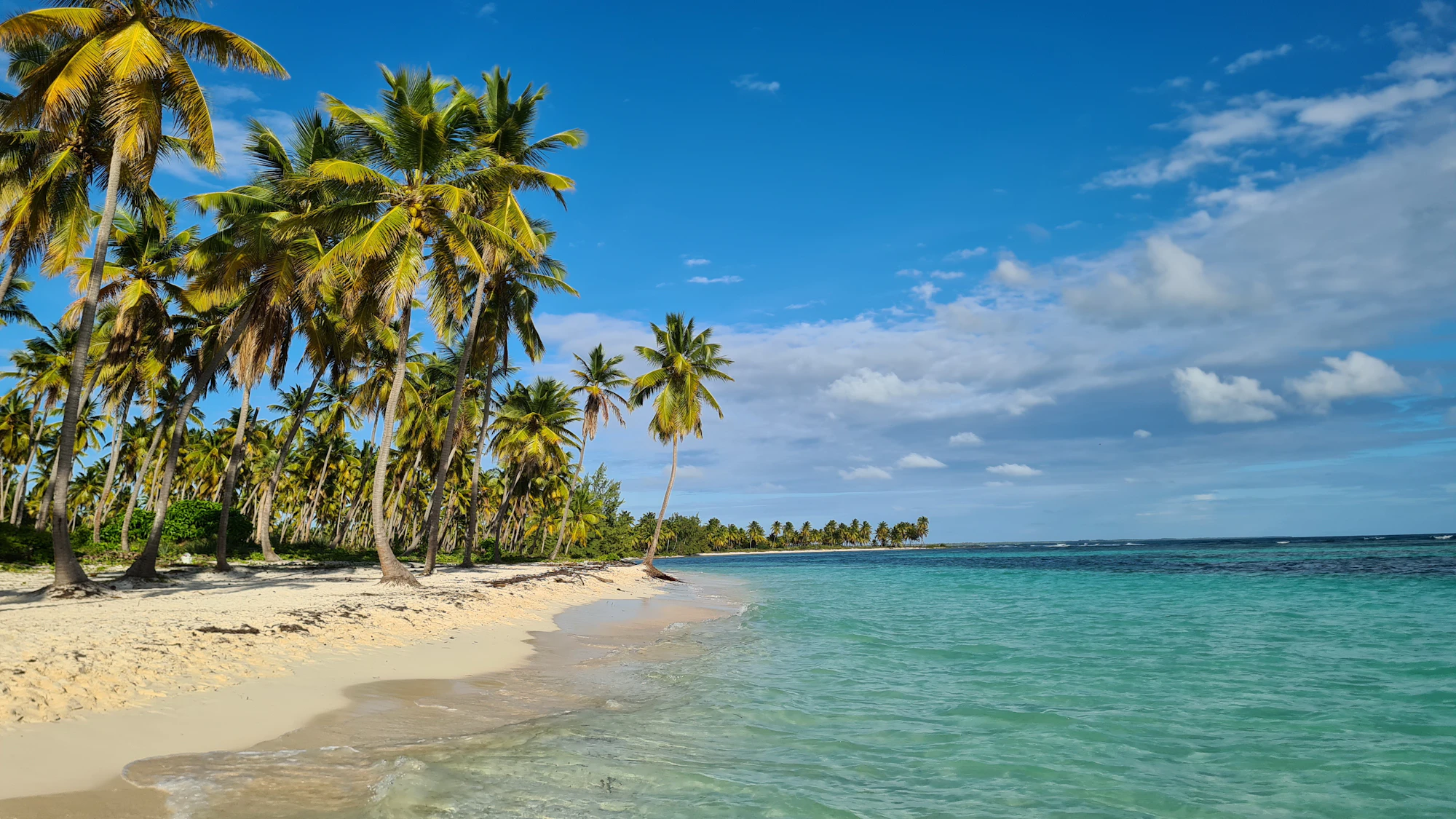 Playa caribeña de agua turquesa y costa poco urbanizada