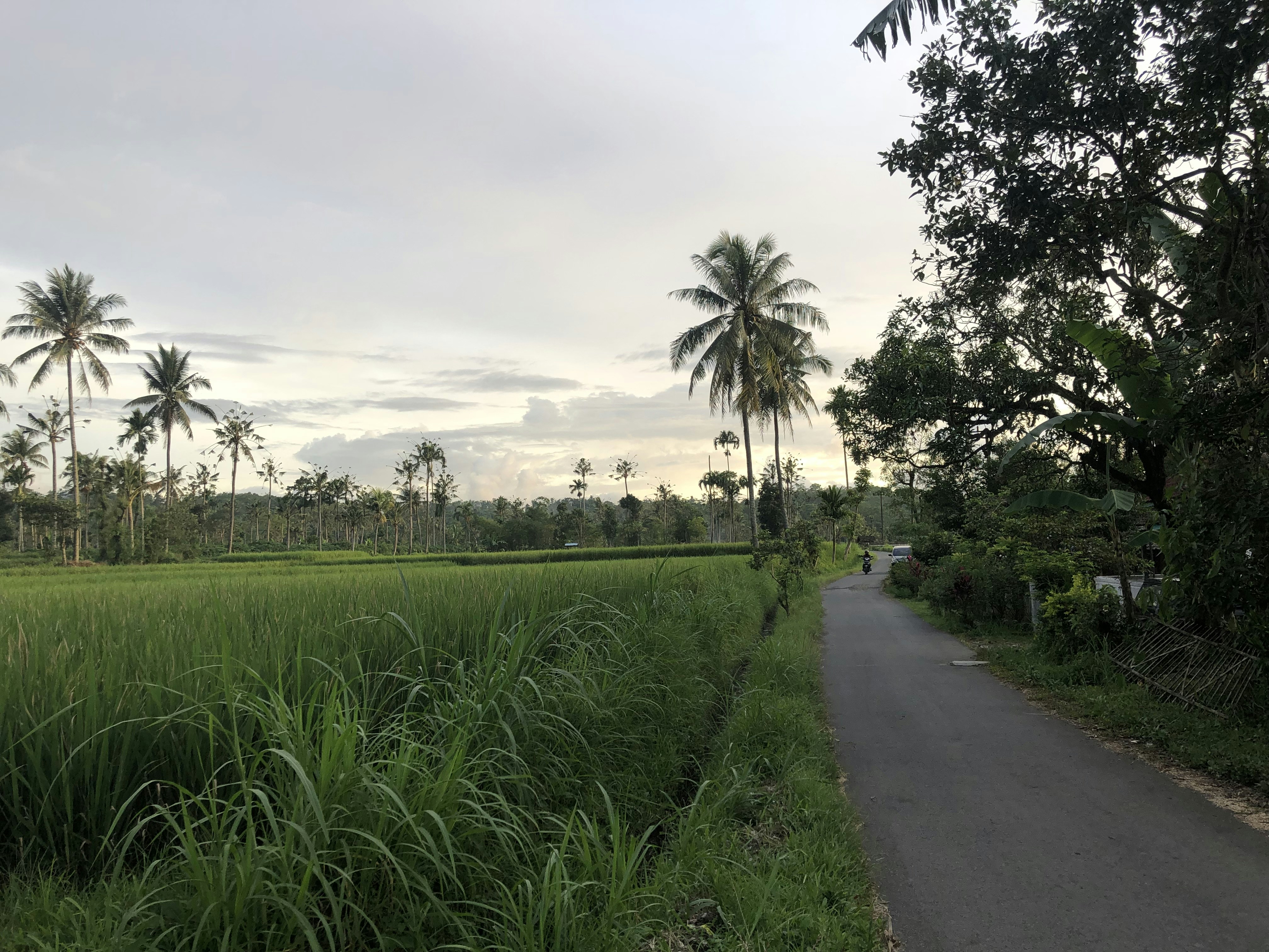 Photo by thuwailib_stdi