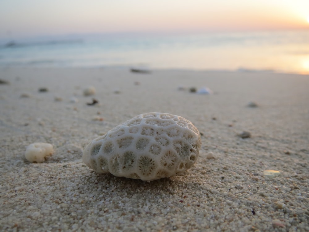 a white rock sitting on top of a sandy beach