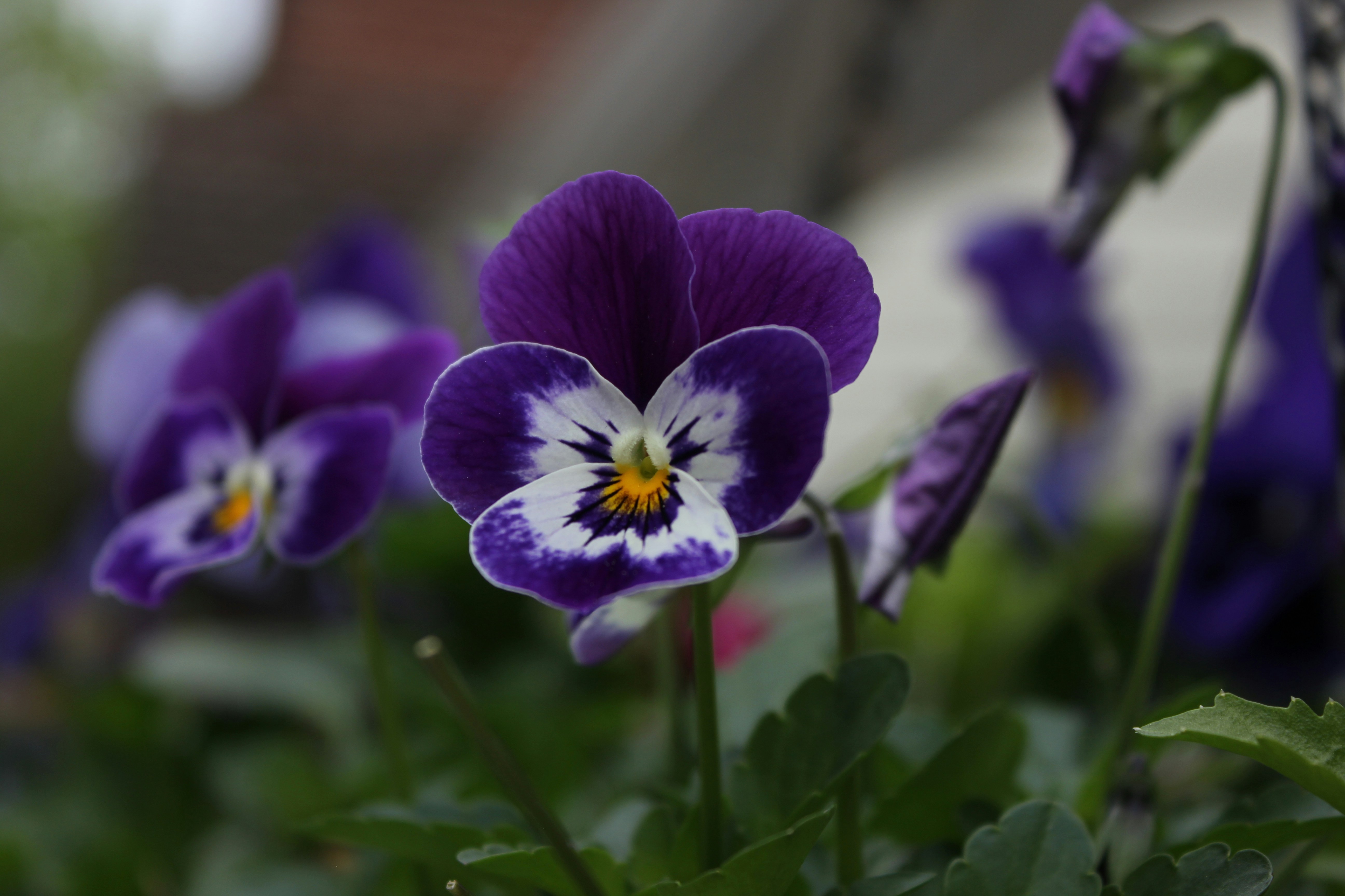 Photo by craggy53