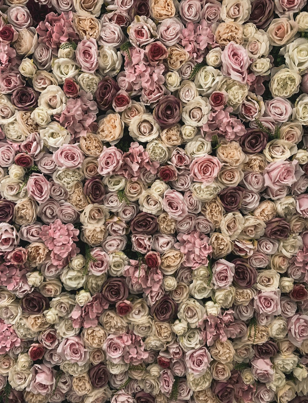 a bunch of flowers that are in the middle of a wall