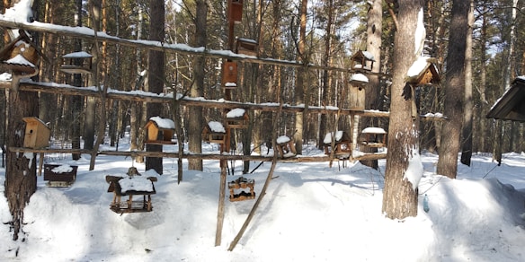 Several wooden birdhouses and feeders are attached to a wooden framework in a snowy forest setting. The structure is covered with snow, and the ground is blanketed in white. Tall trees surround the area, casting shadows and creating a serene winter landscape.