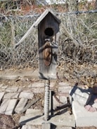 Finished wooden birdhouse with a weathered finish hanging outdoors.