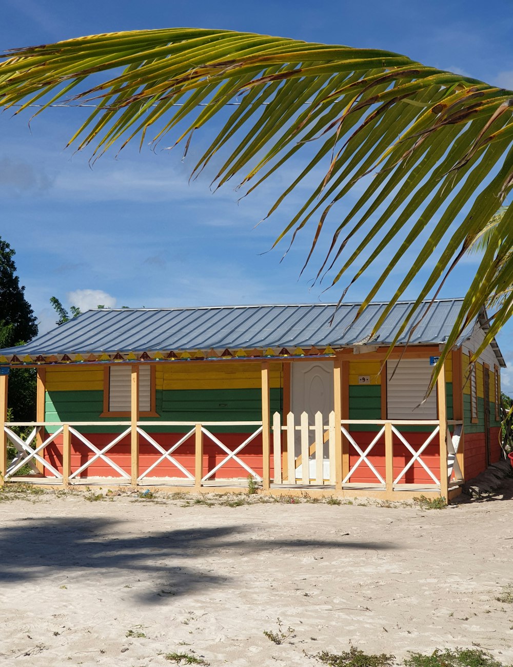 a small building with a fence and a palm tree