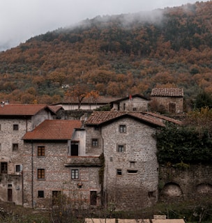 A picturesque village with rustic stone houses and tiled roofs nestled against a backdrop of lush, forested hills. The mist drifts over the trees adding a tranquil, serene atmosphere.