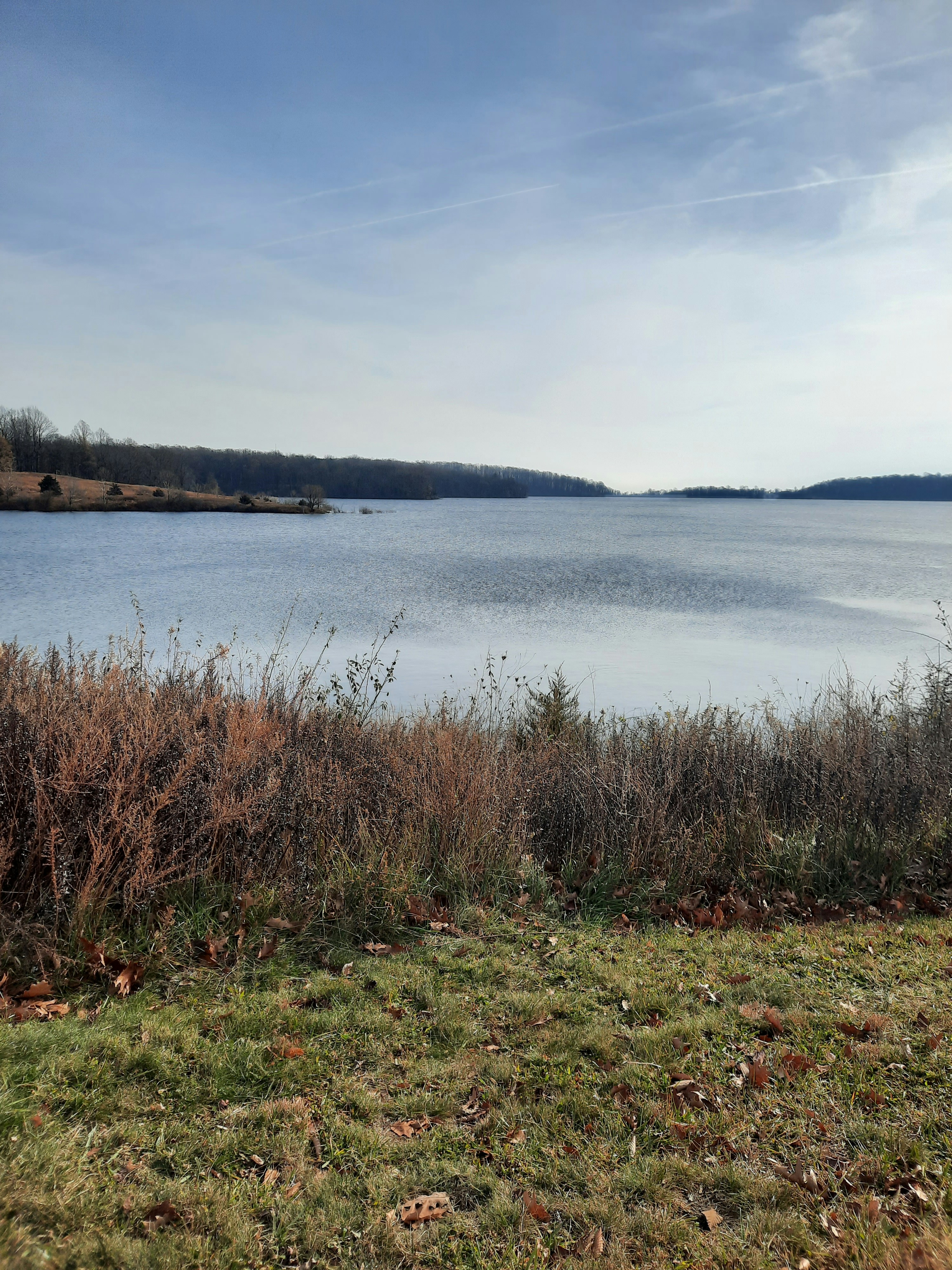a large body of water sitting next to a lush green field