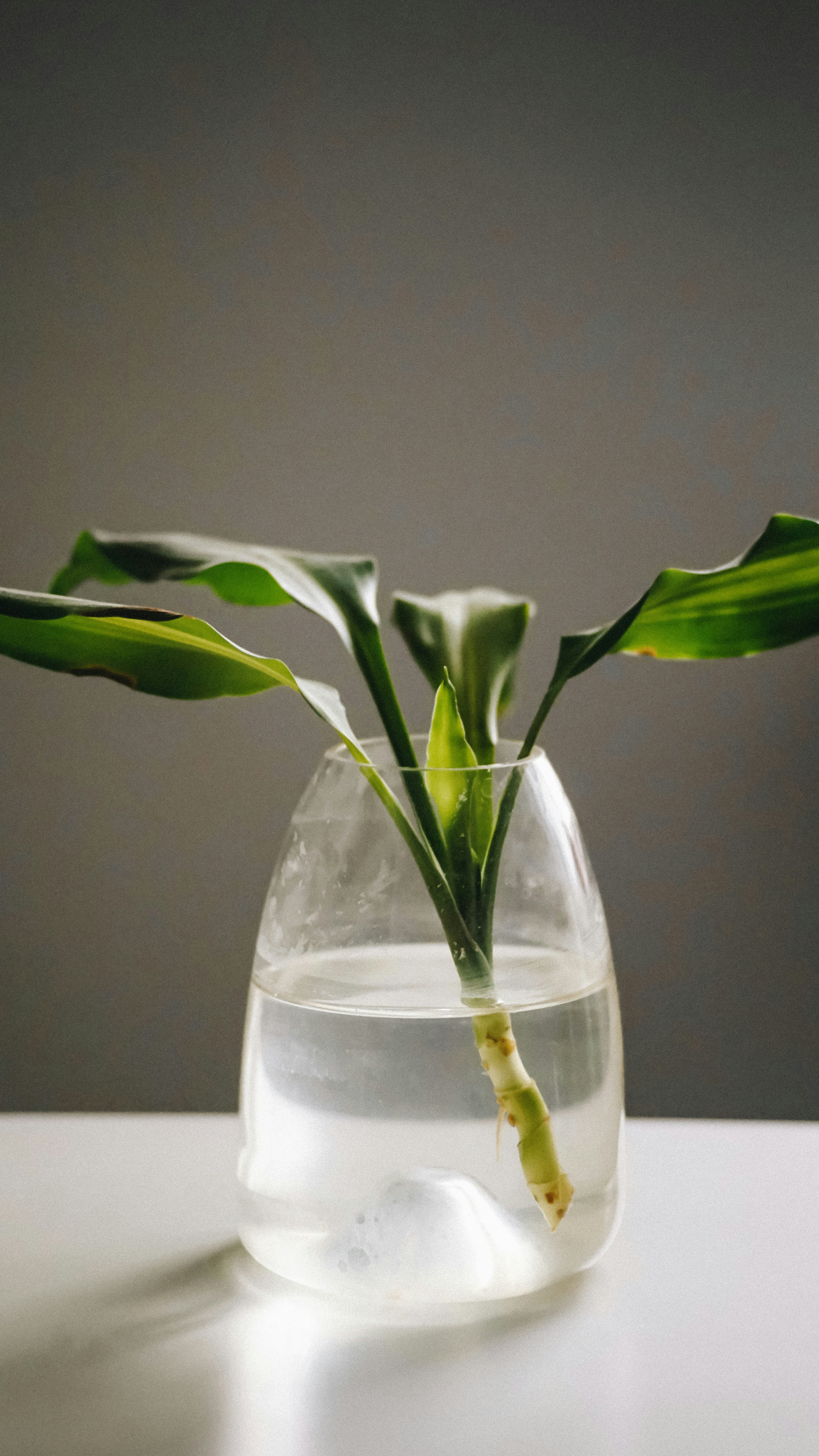 Photo by cosminursea