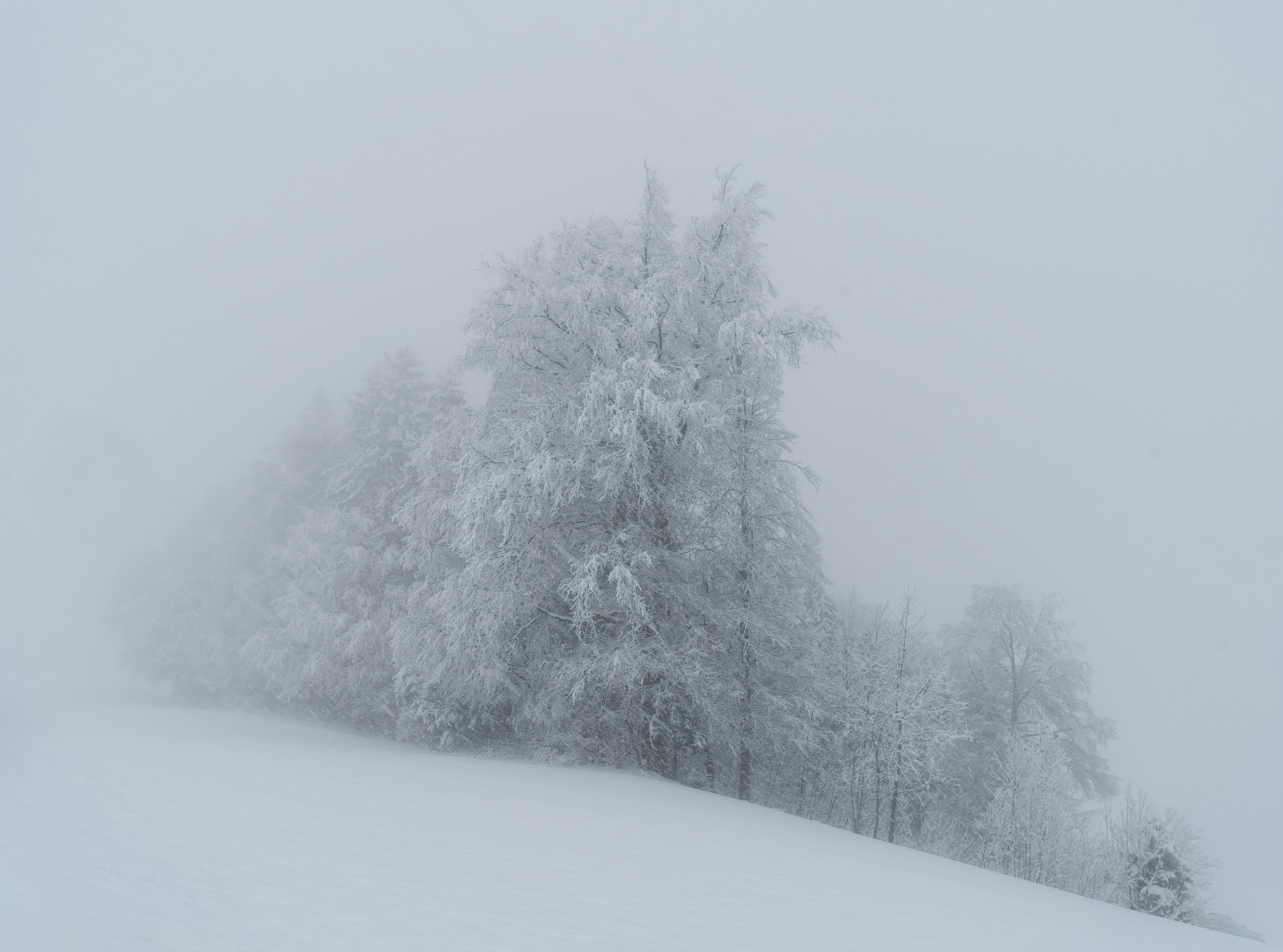 Photo by rgaleriacom