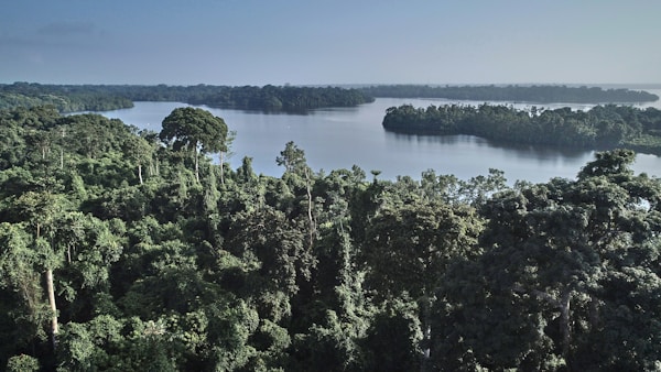 Gabon: Ideal Seasons & Weather for Planning Your Visit