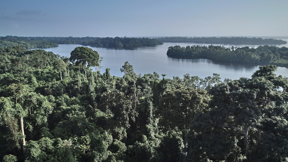 an aerial view of a lake surrounded by trees