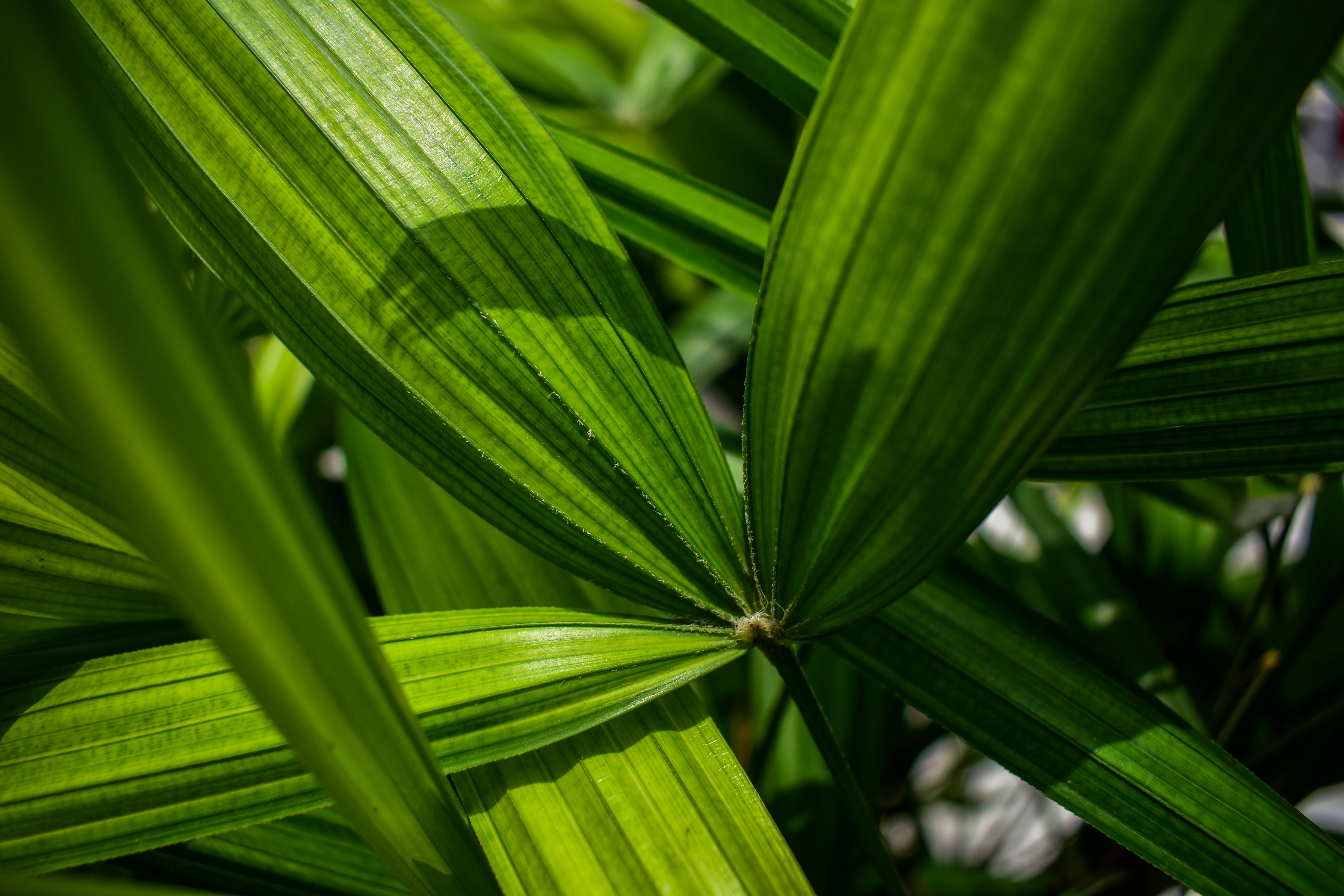 Photo by neelakshi_singh_