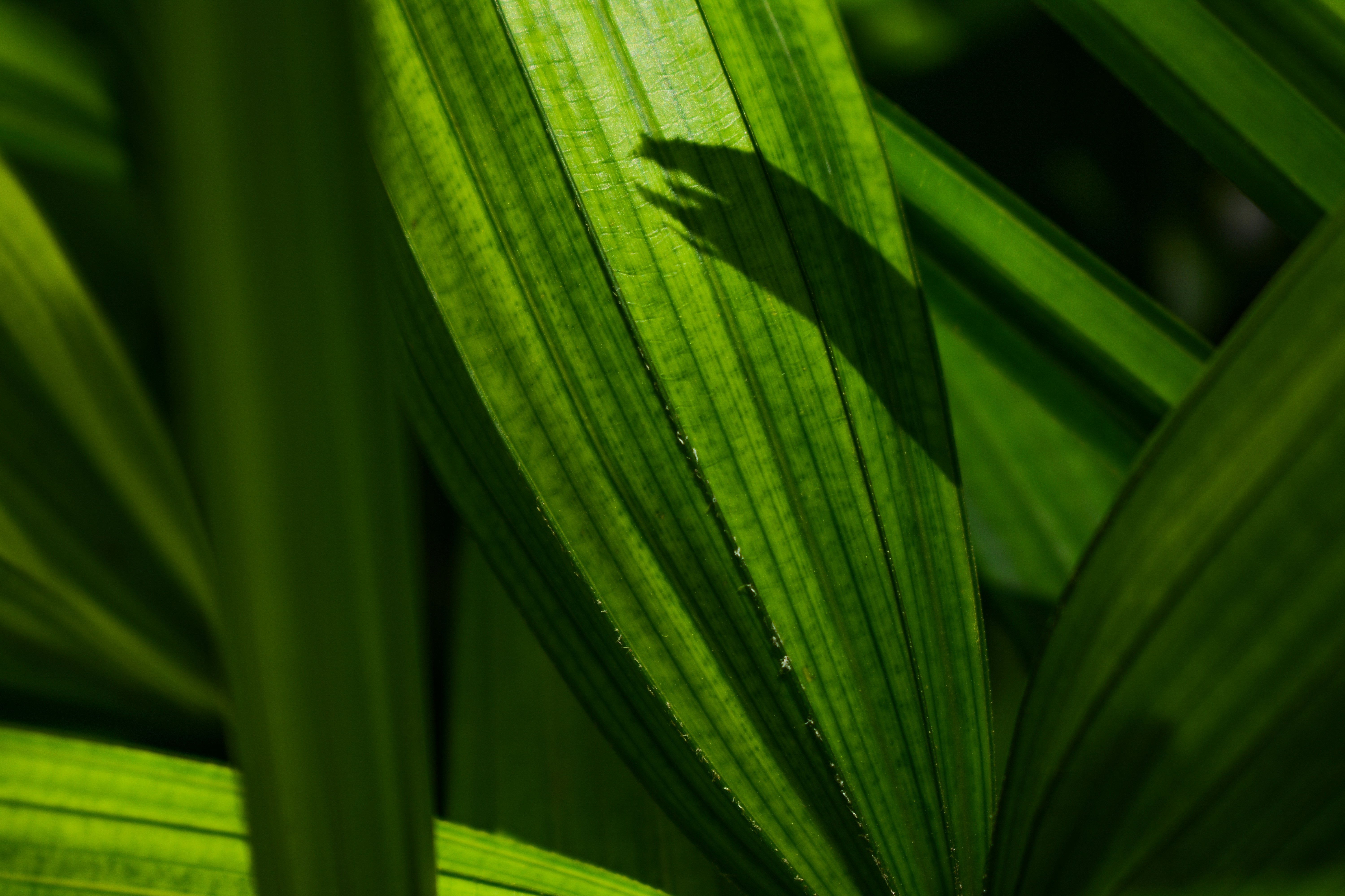 Photo by neelakshi_singh_