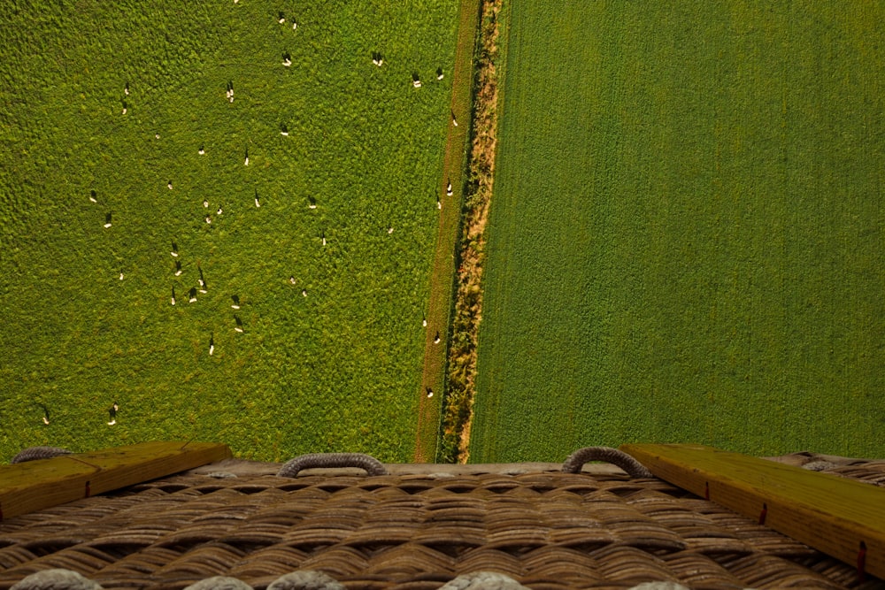 an aerial view of a green field from a bird's eye view