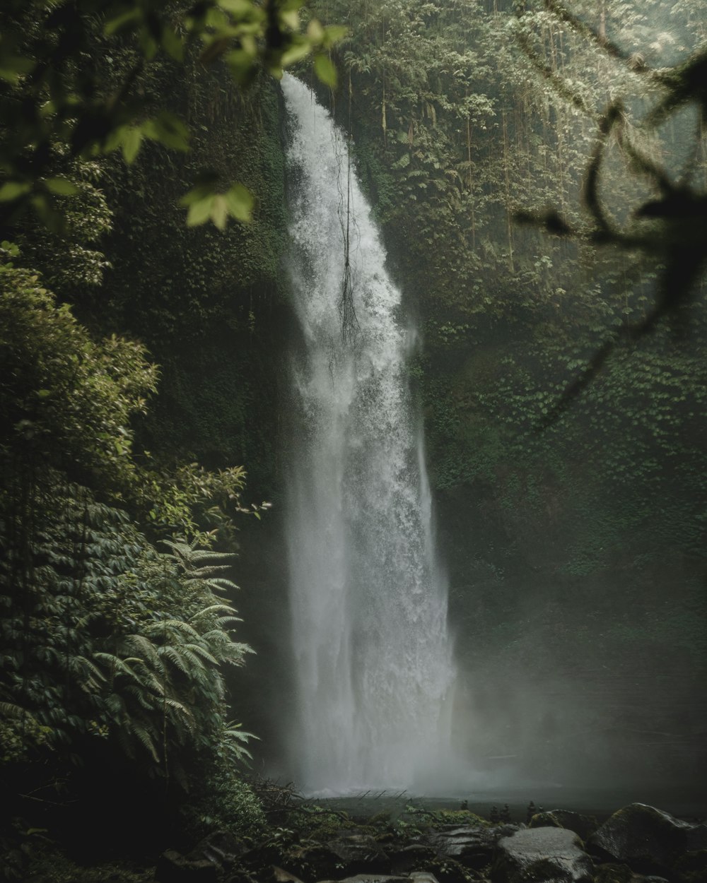 a large waterfall in the middle of a forest