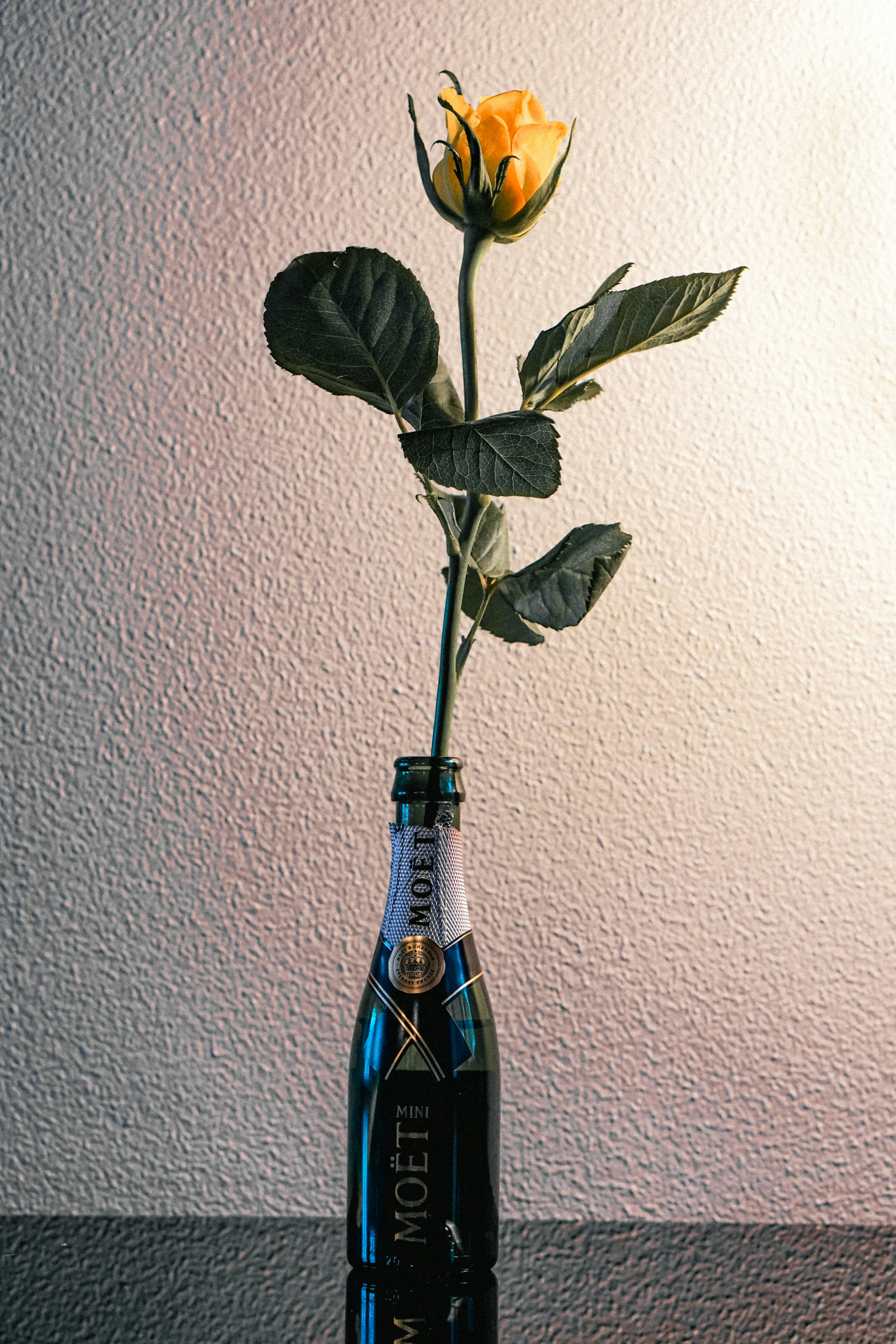 Lemongrass Essential Oil - Refresh & Revive