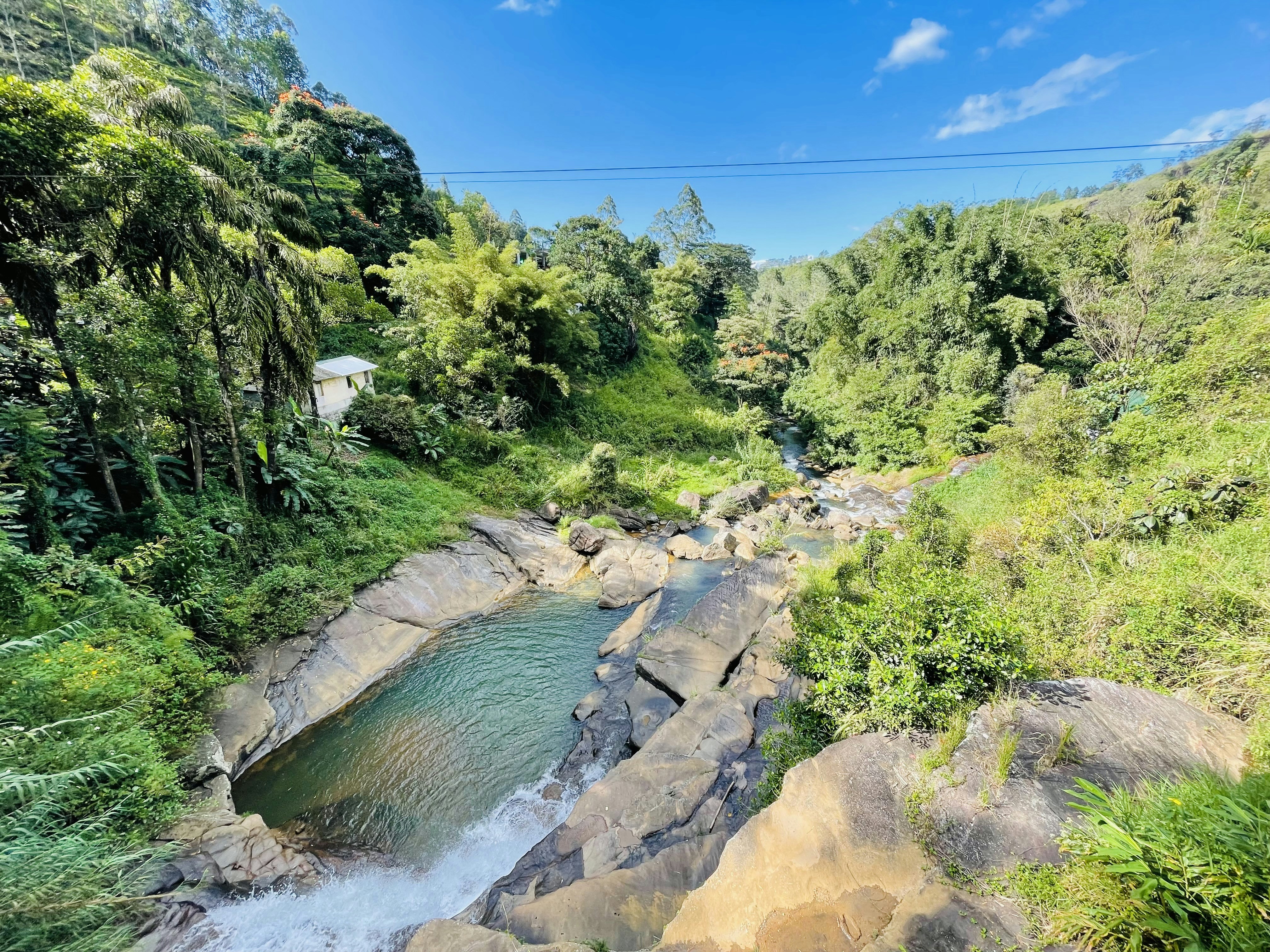 a river running through a lush green forest, 