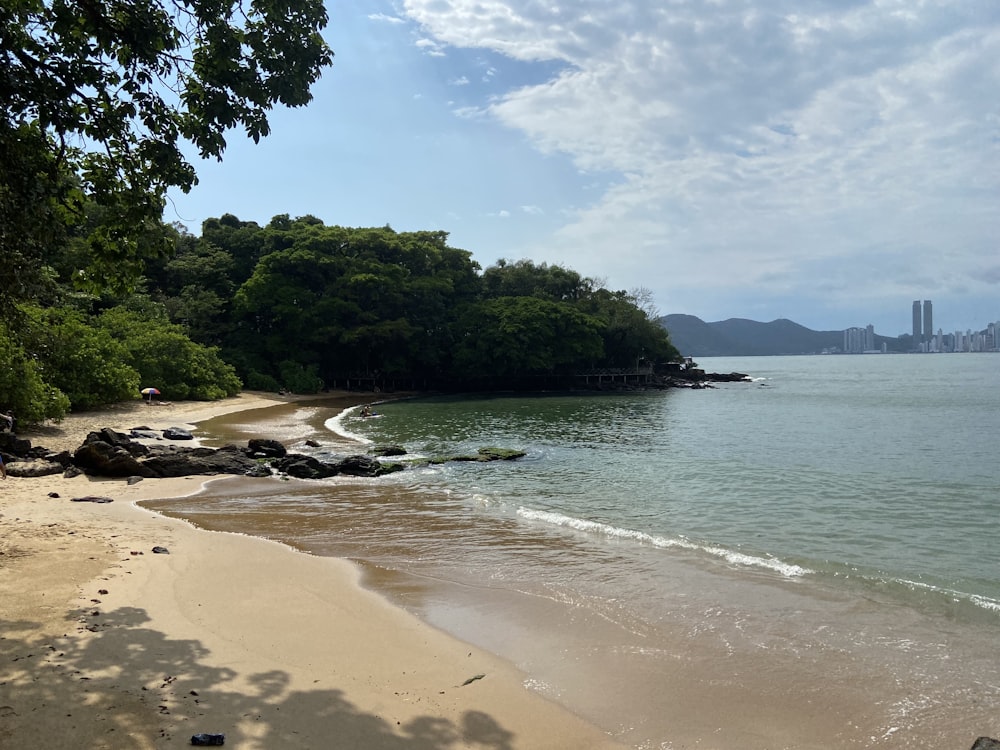 a sandy beach next to the ocean with a city in the background