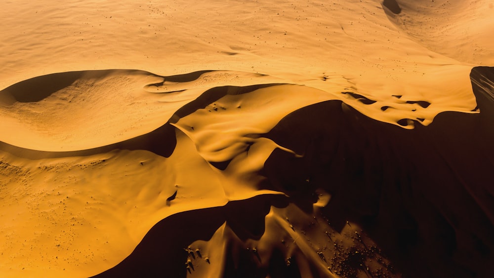 a desert landscape with sand dunes and trees