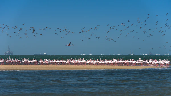 Namibia
