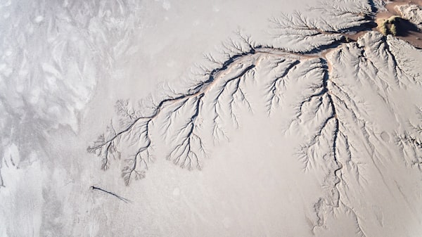 The Mississippi River Is Drying Up