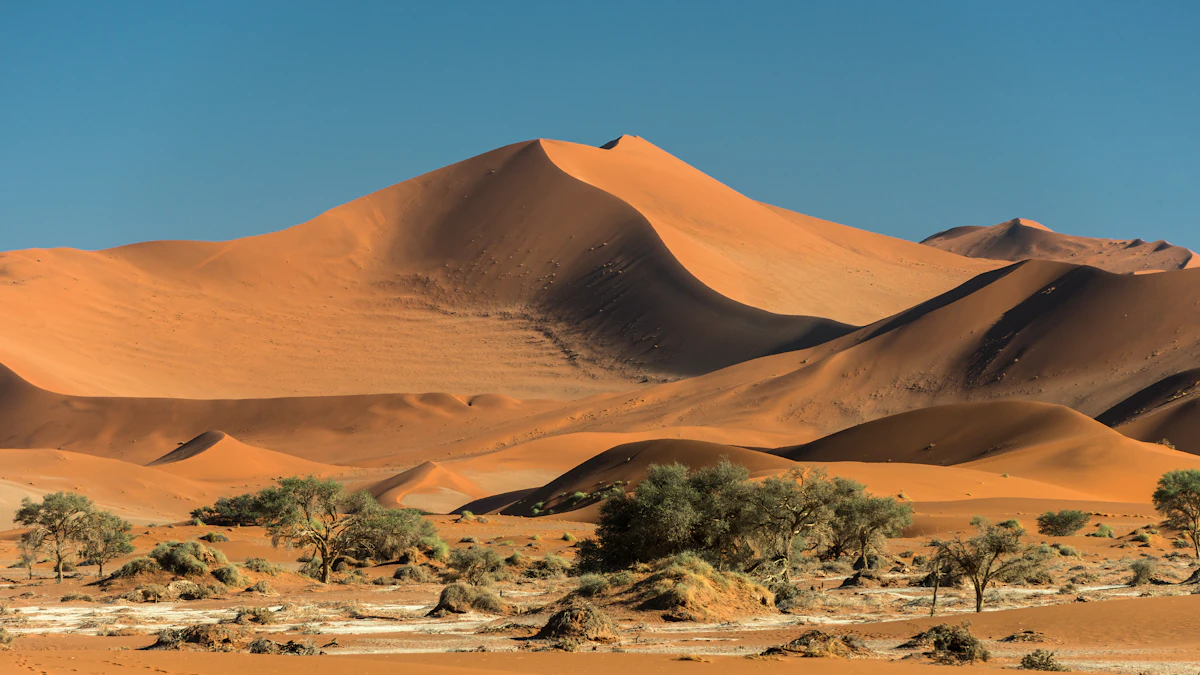 Namibia nature — oryx standing in a sea of red dunes in the Namib Desert at midday