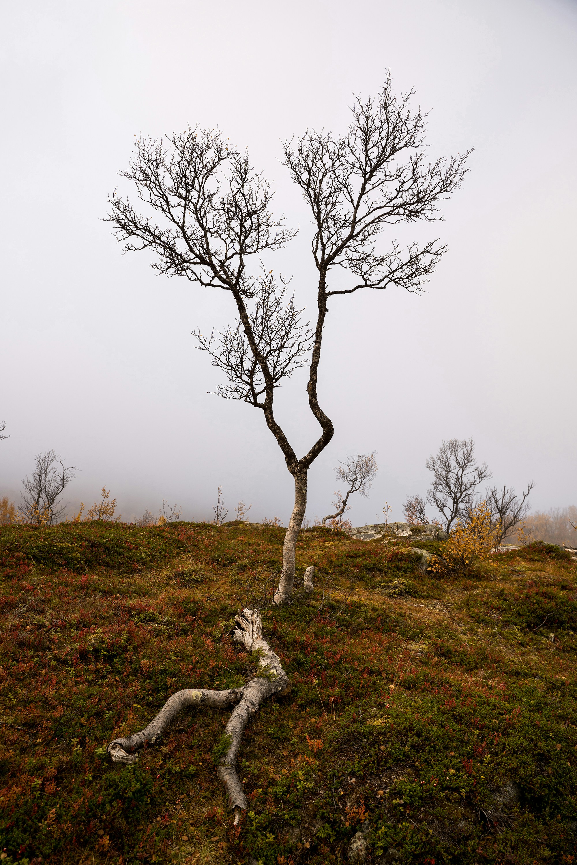 Photo by novemberwong