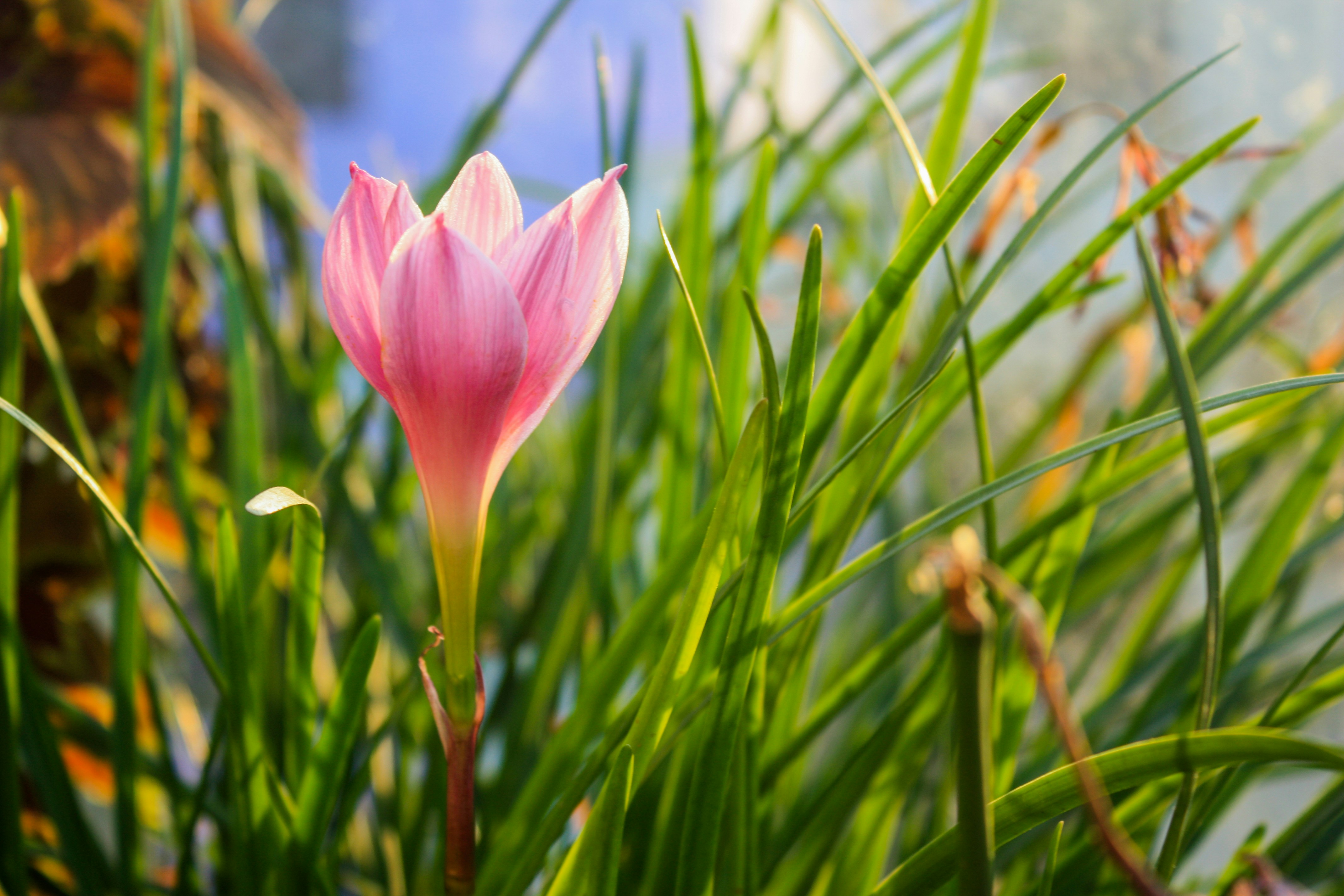 Photo by neelakshi_singh_