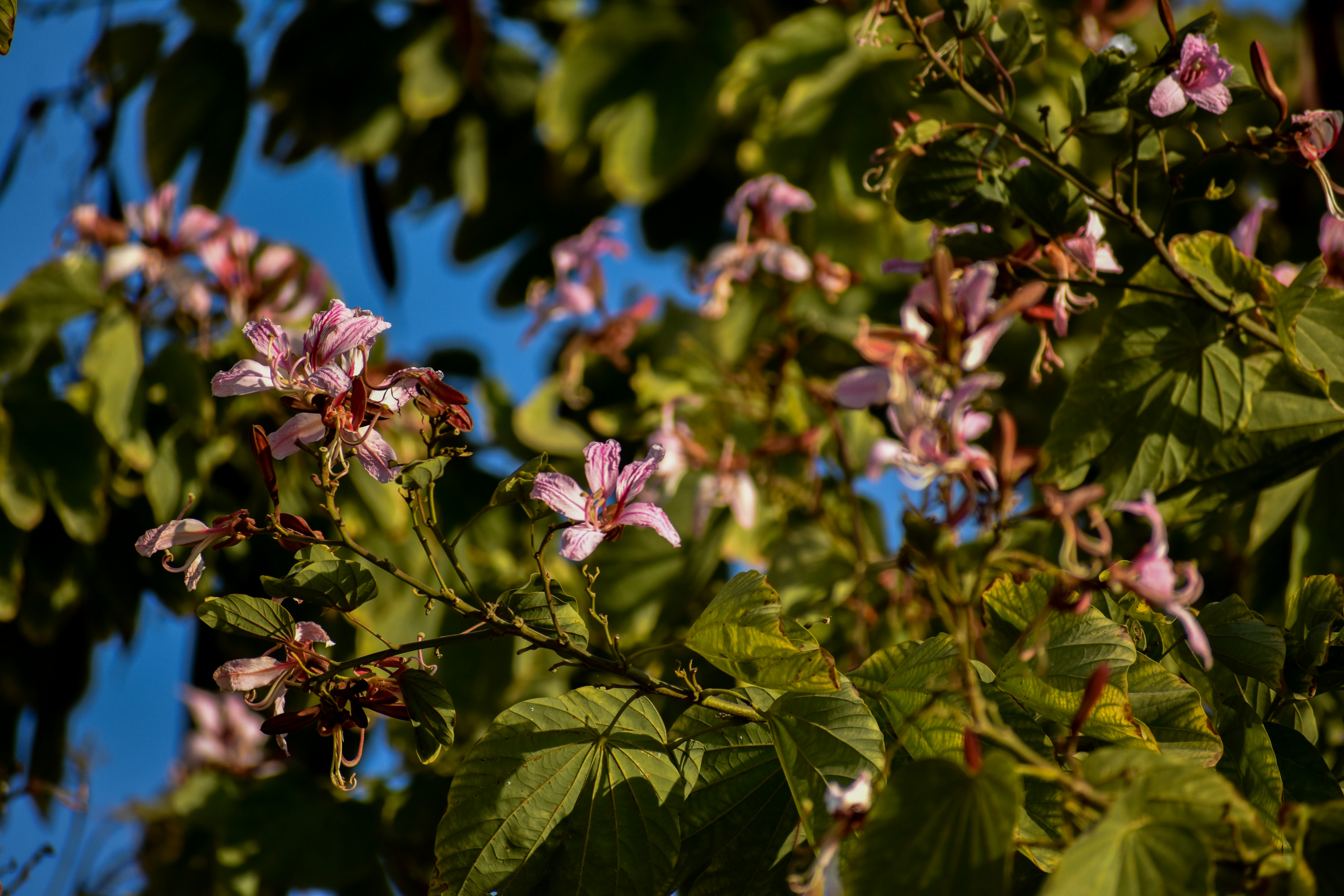 Photo by neelakshi_singh_