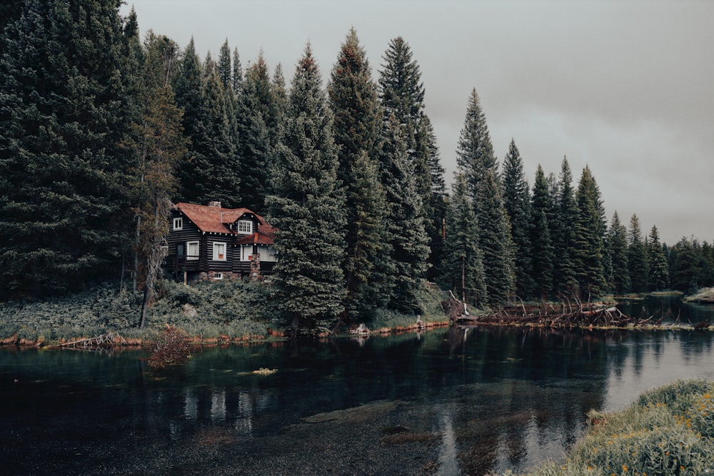 a house in the middle of a forest next to a river