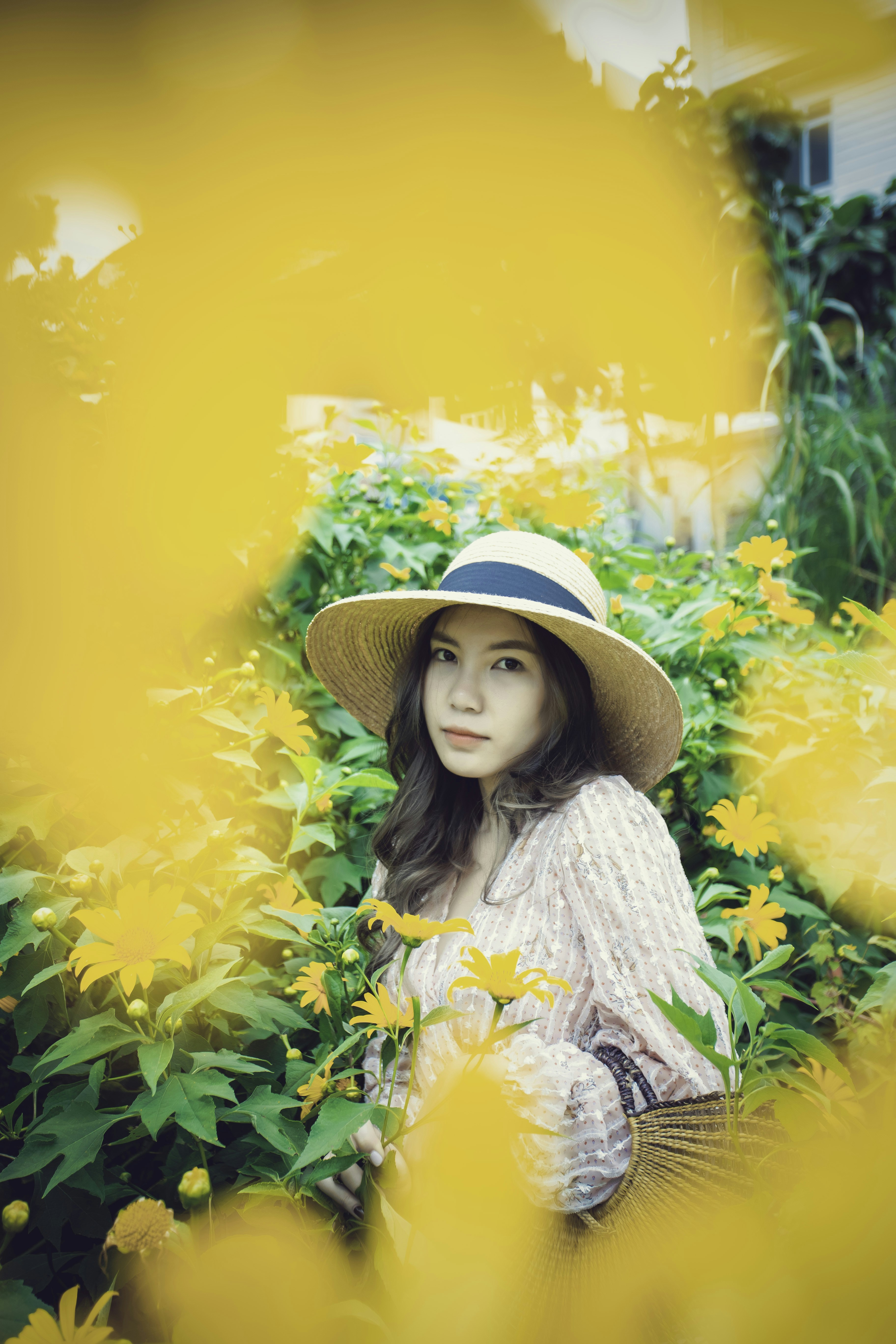 Photo by quangdieu195