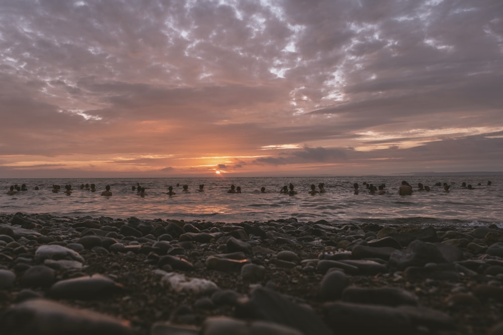 a group of people swimming in the ocean at sunset