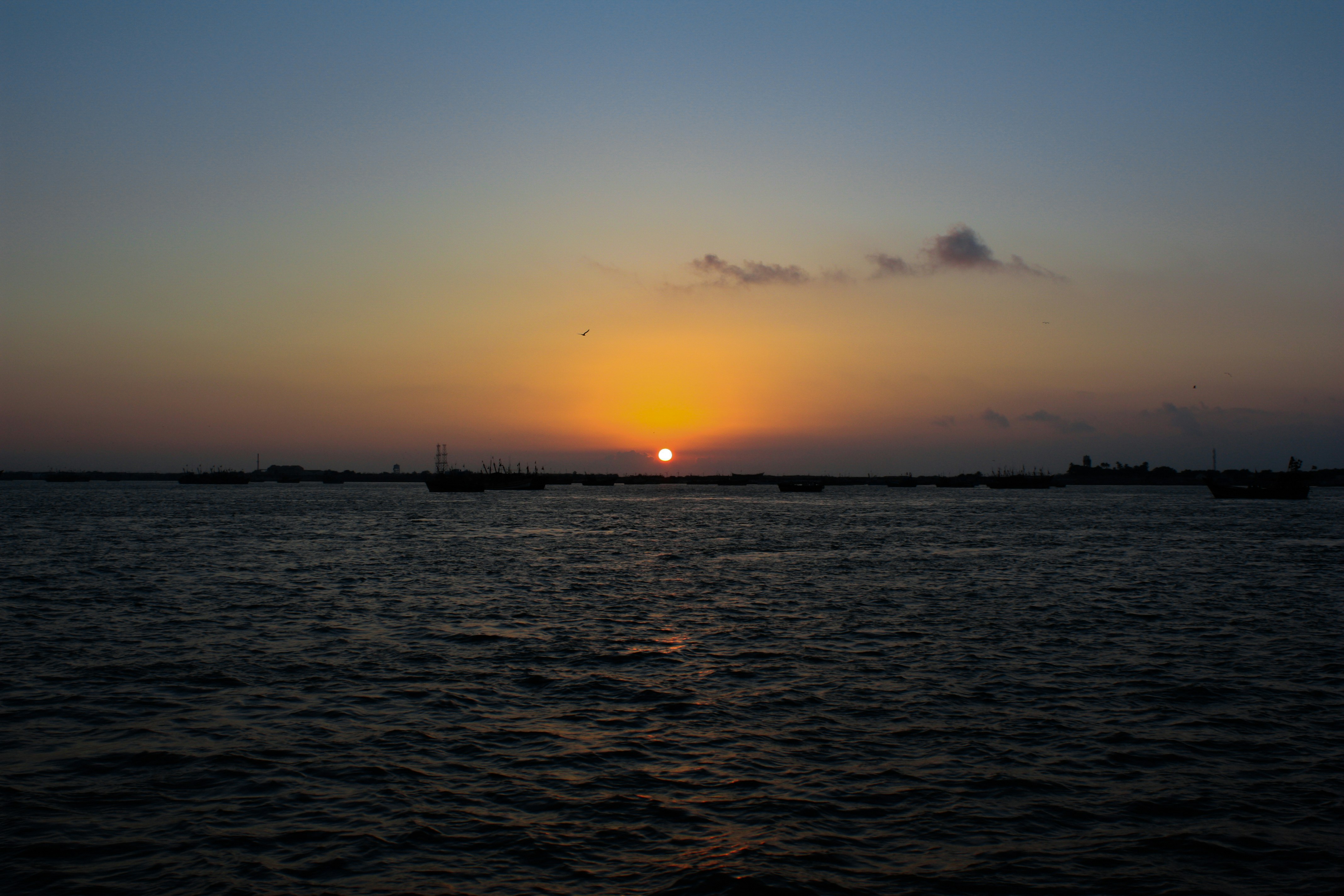 Photo by neelakshi_singh_