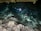 Two scuba divers are exploring a clear, shallow body of water inside a cave. The divers are equipped with diving gear and carry underwater lights, which illuminate their path. The rocky cave ceiling and walls are visible above the water, and the ground is covered in rocks and pebbles.