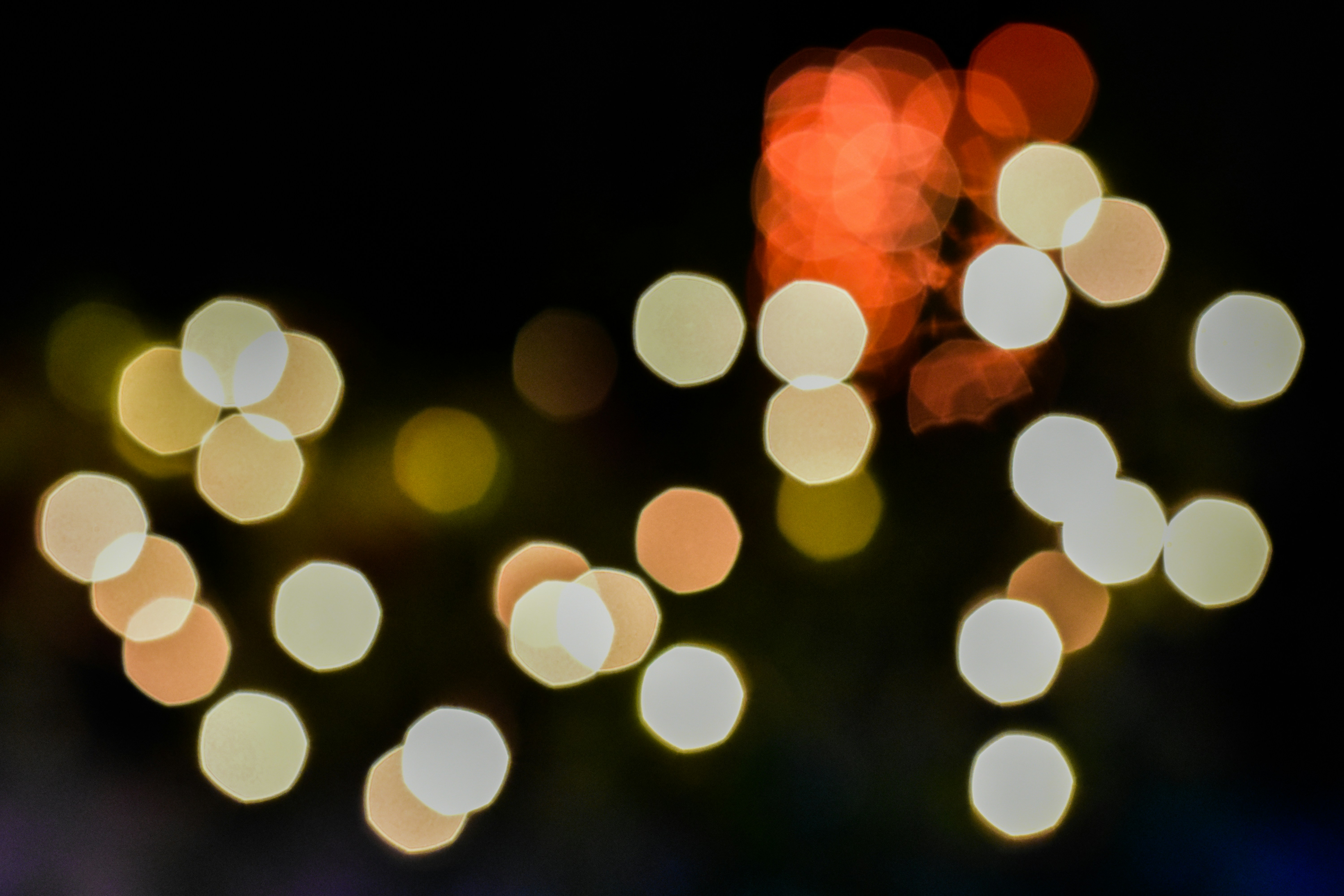 Photo by neelakshi_singh_