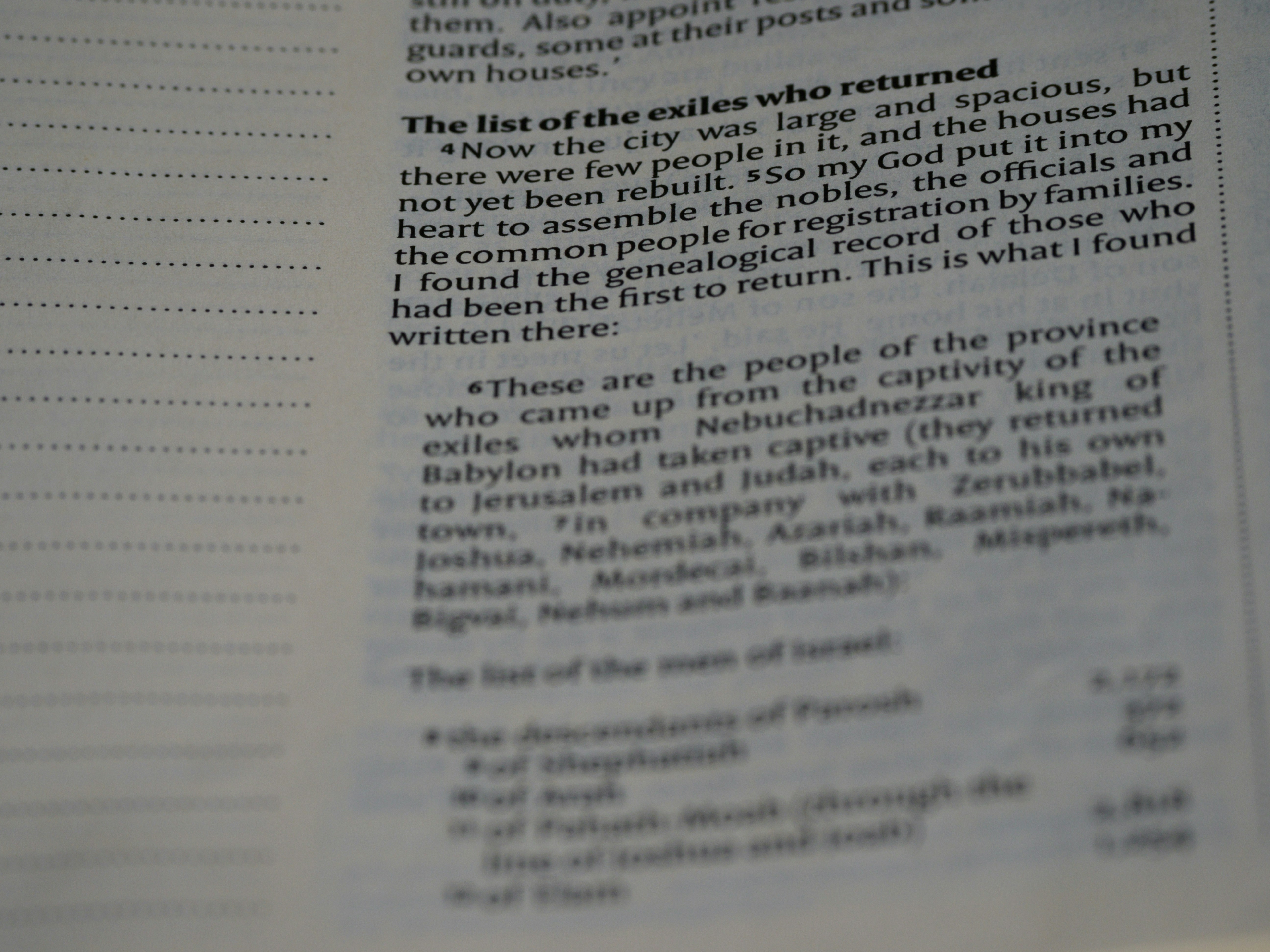 Photo by brett_jordan