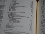 A close-up of a handwritten genealogy binder page with neat, faded ink.