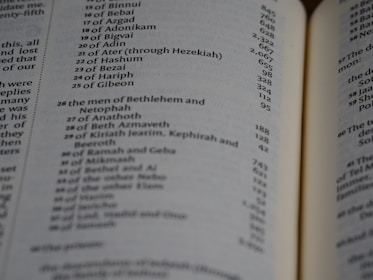 A close-up of an open book page featuring a list of names and numbers, possibly indicating a genealogical or historical record. The text is printed in a clear font, and the page is slightly curved, suggesting a book with several pages.