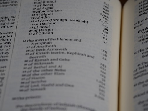 A close-up of an open book page featuring a list of names and numbers, possibly indicating a genealogical or historical record. The text is printed in a clear font, and the page is slightly curved, suggesting a book with several pages.