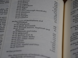 A close-up of an open book page featuring a list of names and numbers, possibly indicating a genealogical or historical record. The text is printed in a clear font, and the page is slightly curved, suggesting a book with several pages.