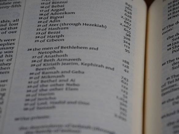 A close-up of an open book page featuring a list of names and numbers, possibly indicating a genealogical or historical record. The text is printed in a clear font, and the page is slightly curved, suggesting a book with several pages.