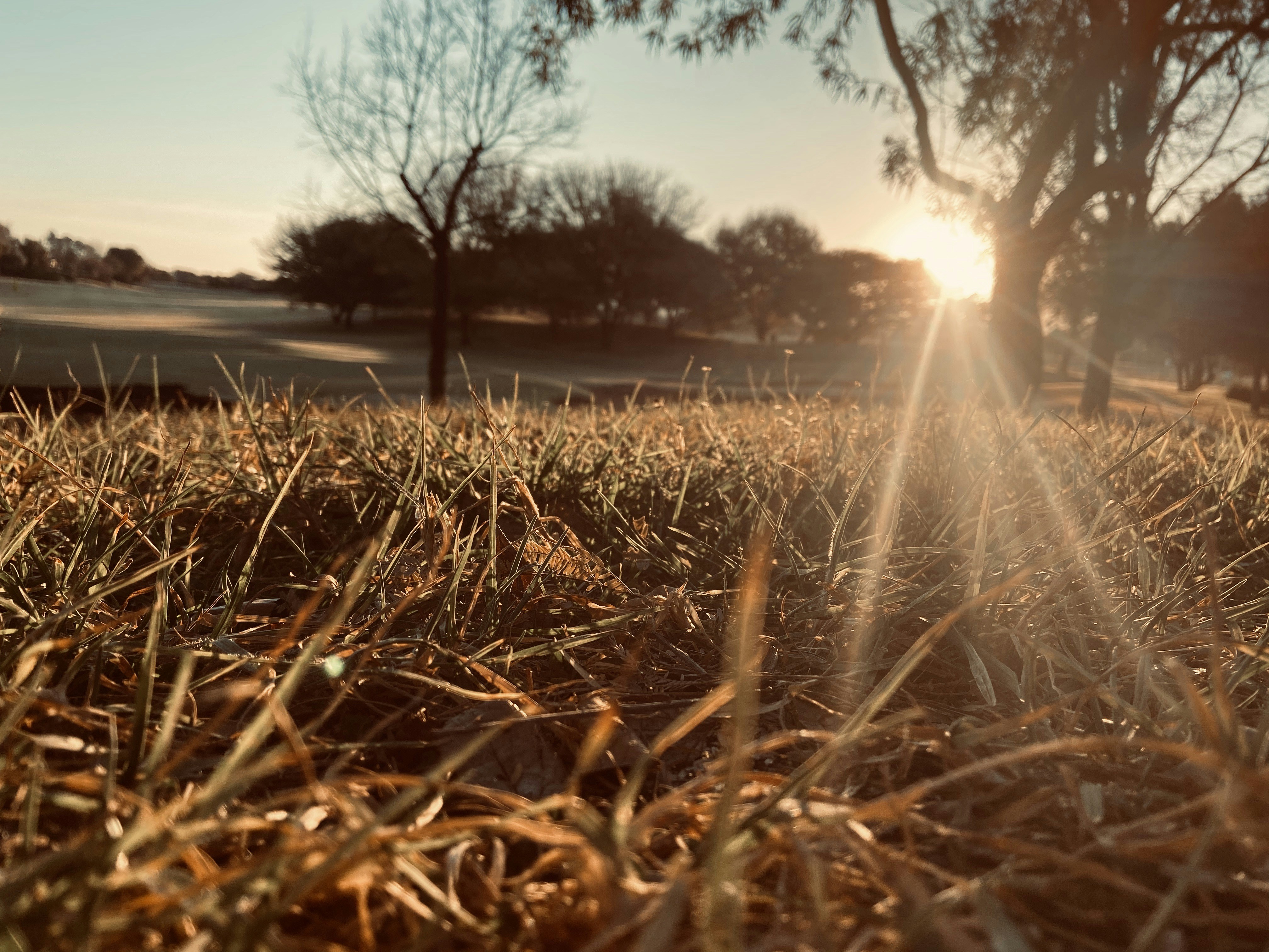 Pecanwood Golf Course