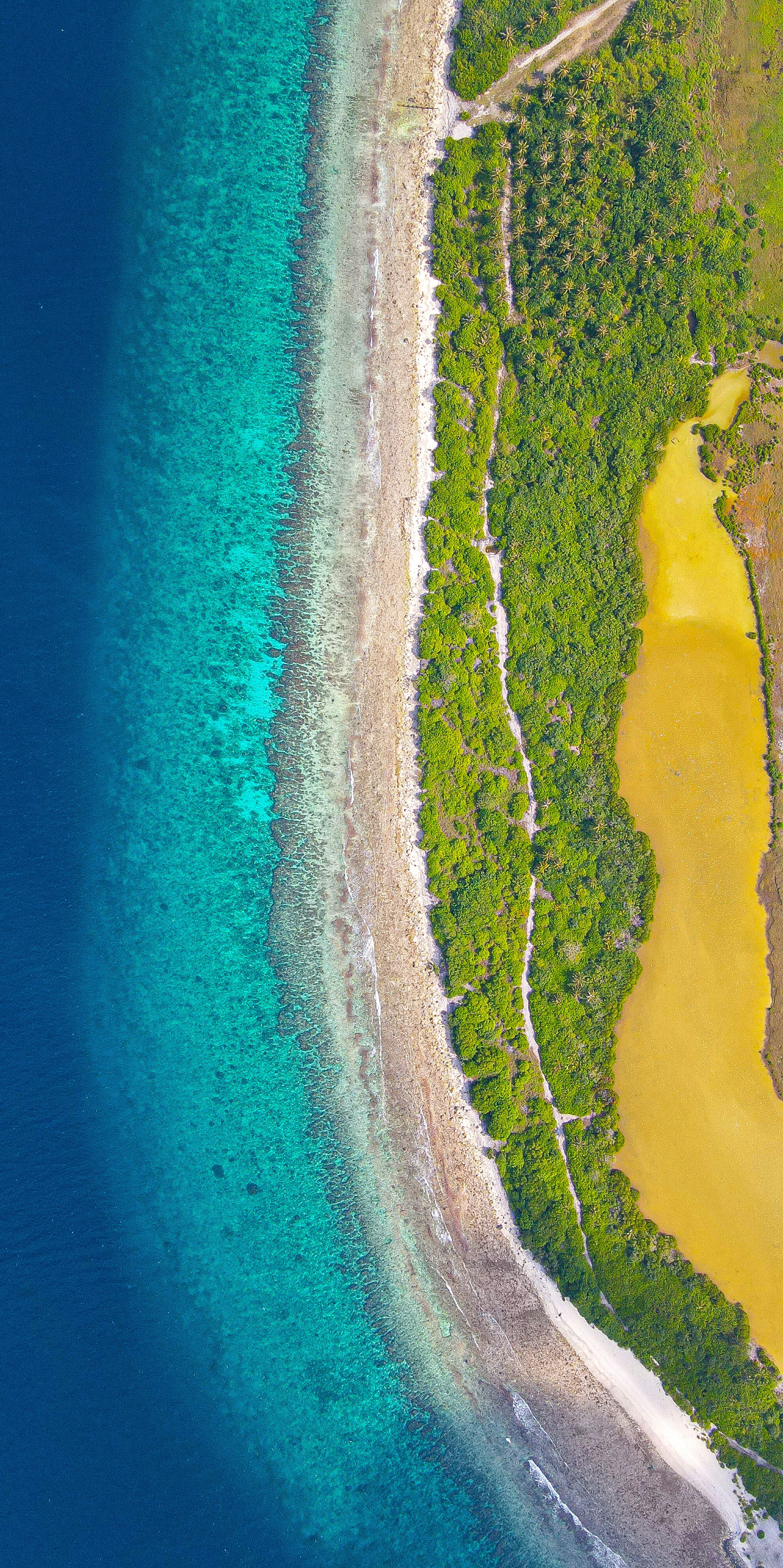 an aerial view of a beach and a body of water