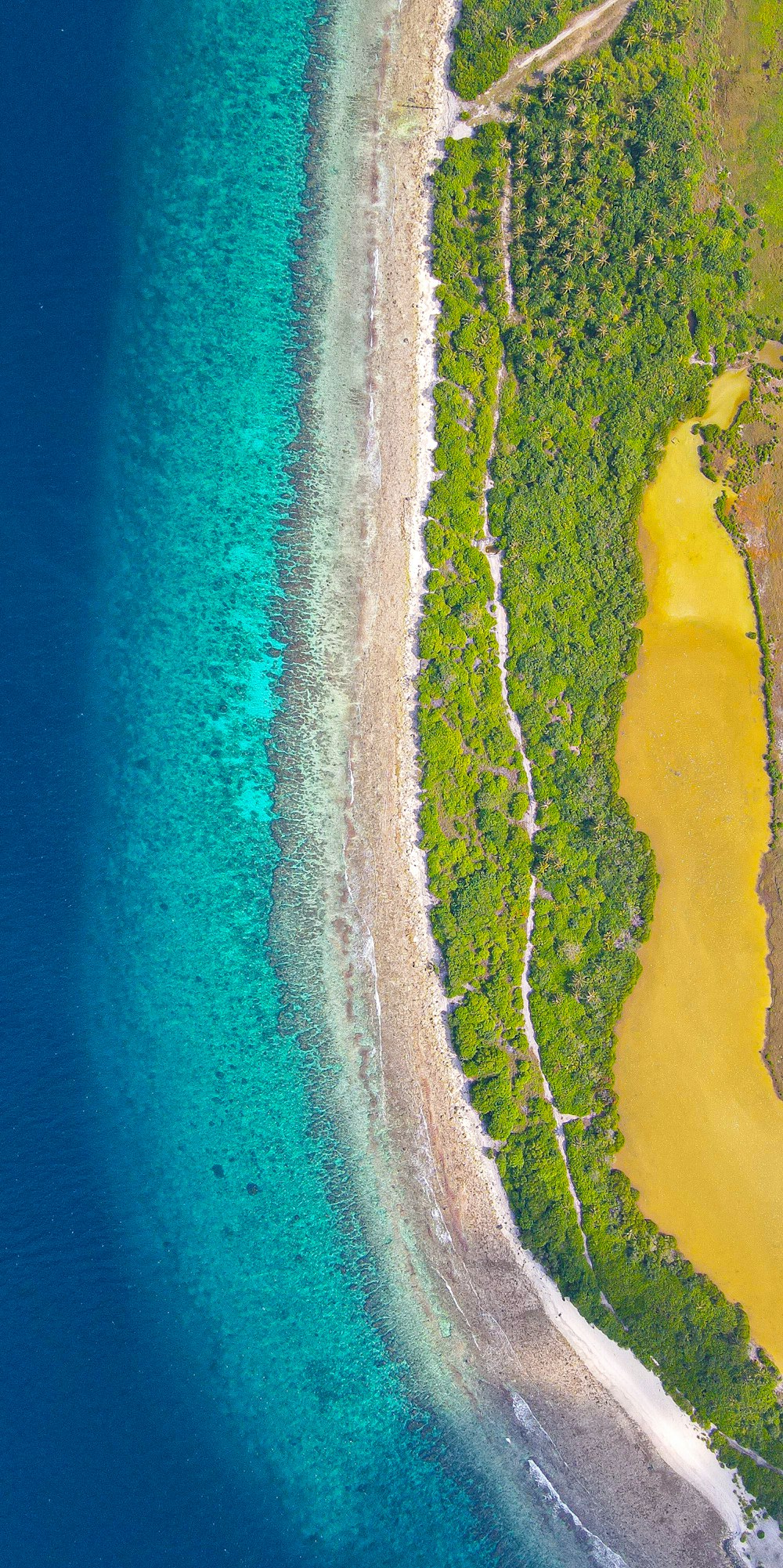 an aerial view of a beach and a body of water