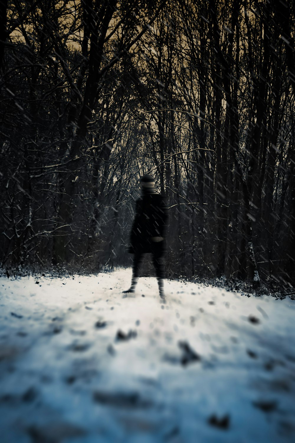 a person walking through a snow covered forest